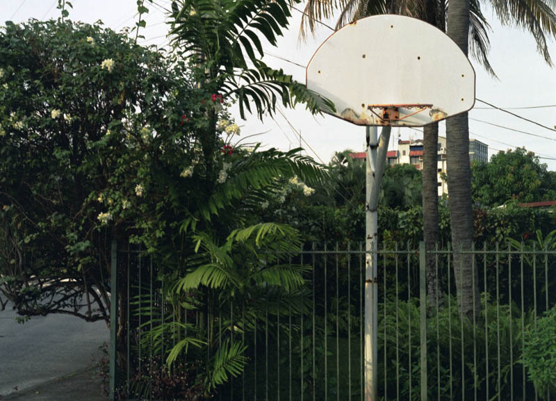 (C) Lorena Endara, 2006