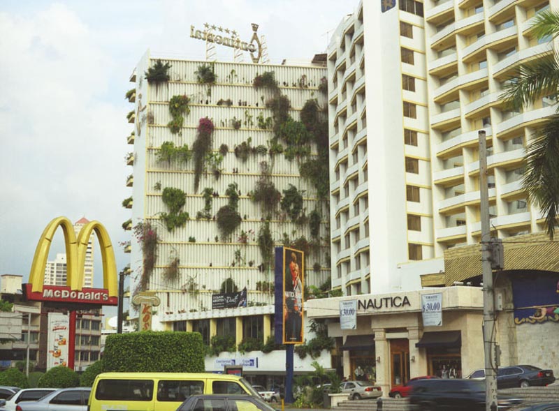 (C) Lorena Endara, 2006
