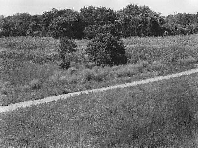 Image (C) Paul Anthony Melhado, All rights reserved.