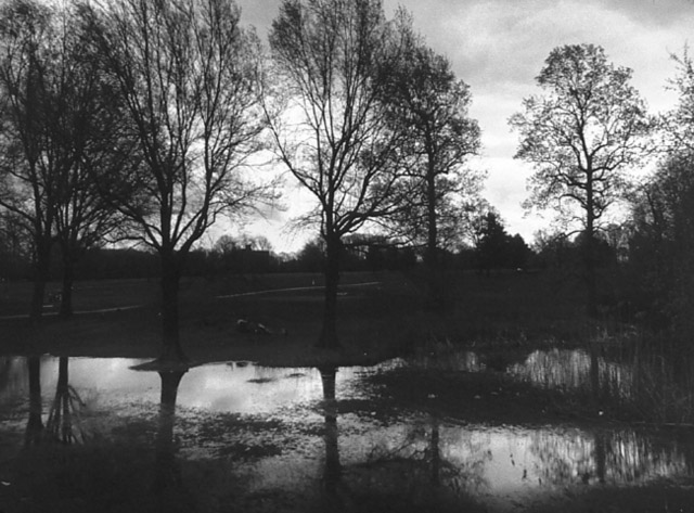 Image (C) Paul Anthony Melhado, All rights reserved.