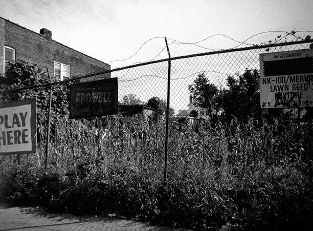 Image (C) Paul Anthony Melhado, All rights reserved.