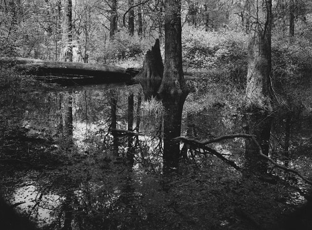 Image (C) Paul Anthony Melhado, All rights reserved.