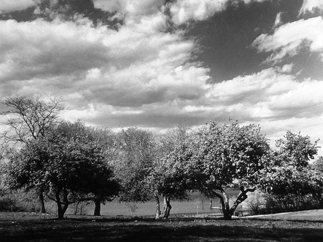 Image (C) Paul Anthony Melhado, All rights reserved.