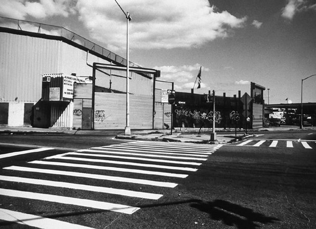 Image (C) Paul Anthony Melhado, All rights reserved.