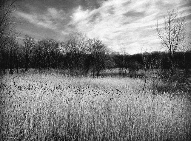 Image (C) Paul Anthony Melhado, All rights reserved.