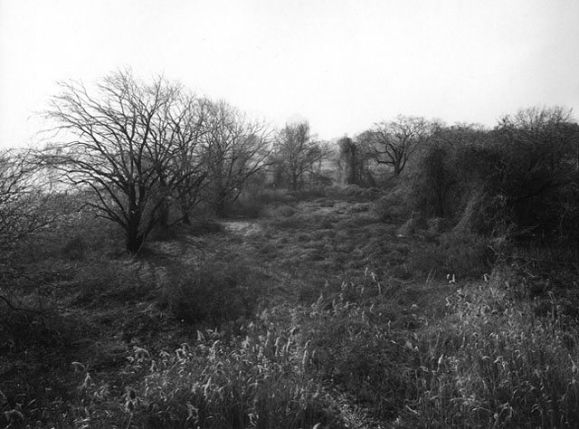 Image (C) Paul Anthony Melhado, All rights reserved.