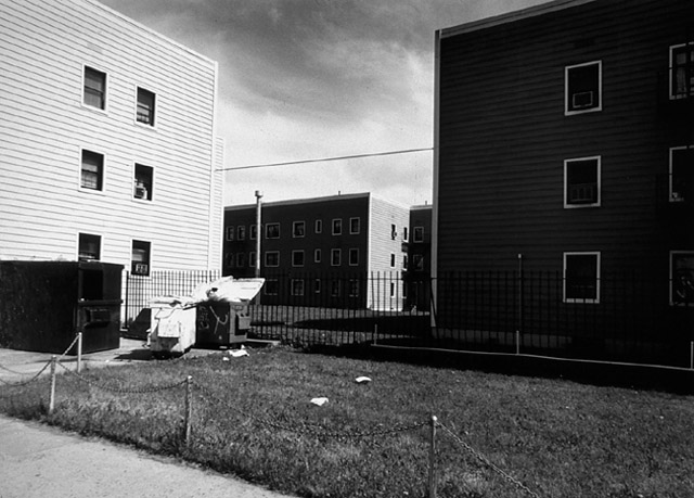 Image (C) Paul Anthony Melhado, All rights reserved.