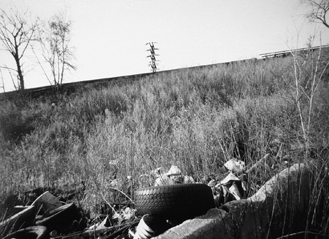 Image (C) Paul Anthony Melhado, All rights reserved.