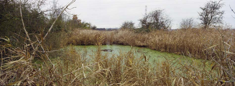Thames Gateway:  (C) 2006, Peter Marshall
